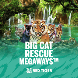 Slot Gratis Big Cat Rescue Megaways™