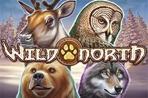 Slot gratis Wild North